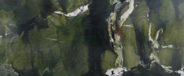 Lotus Pond Moonlight