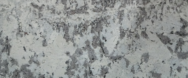 Forture Spring Bookmatch