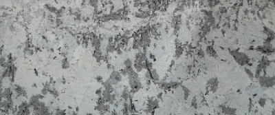 Forture Spring Bookmatch